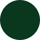 Zieleń Mchu RAL 6005